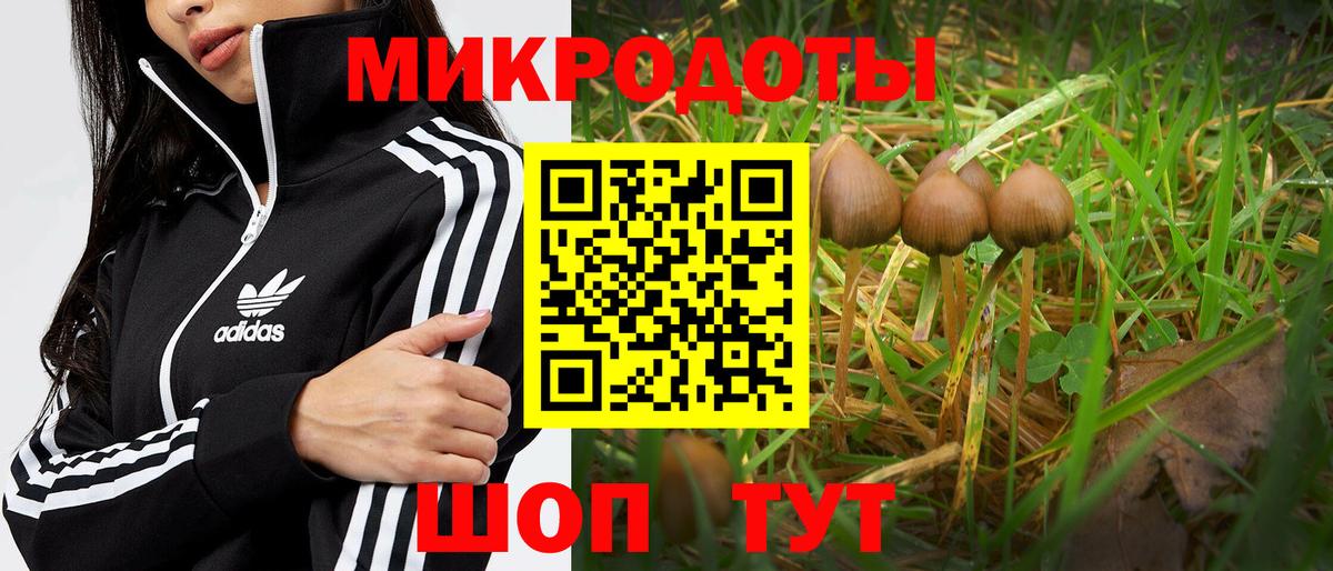 Псилоцибиновые грибы мицелий Изобильный
